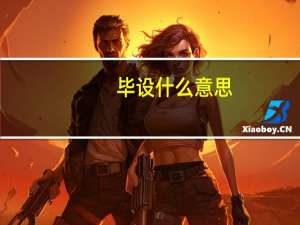 毕设什么意思