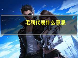 毛利代表什么意思