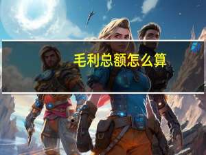 毛利总额怎么算