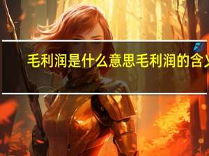 毛利润是什么意思 毛利润的含义