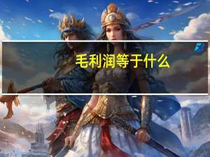 毛利润等于什么