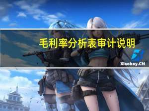 毛利率分析表审计说明（毛利率分析）