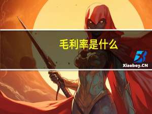 毛利率是什么