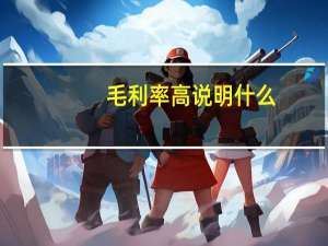 毛利率高说明什么