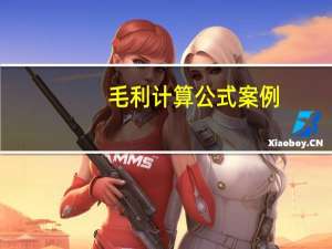 毛利计算公式案例（毛利计算公式是）