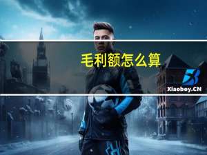 毛利额怎么算