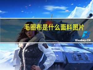 毛圈布是什么面料图片（毛圈布是什么面料）