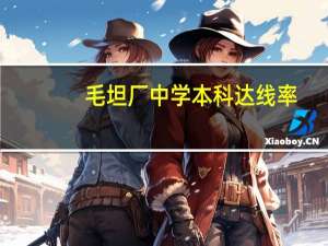 毛坦厂中学本科达线率