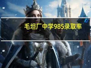 毛坦厂中学985录取率