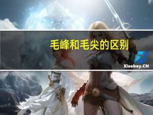 毛峰和毛尖的区别