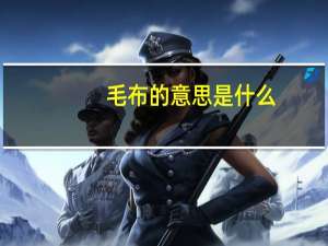 毛布的意思是什么