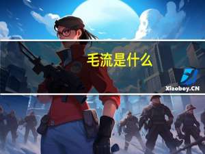 毛流是什么
