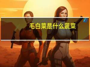 毛白菜是什么蔬菜