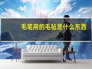 毛笔用的毛毡是什么东西