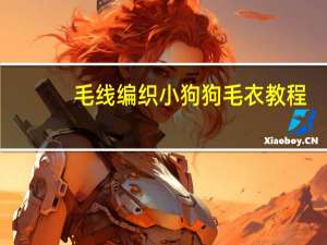 毛线编织小狗狗毛衣教程