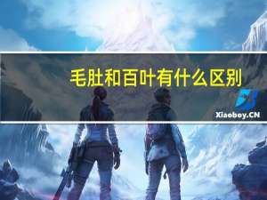 毛肚和百叶有什么区别
