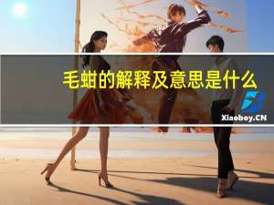 毛蚶的解释及意思是什么