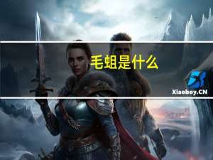 毛蛆是什么