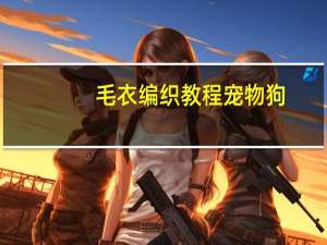 毛衣编织教程宠物狗