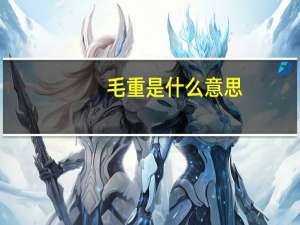 毛重是什么意思