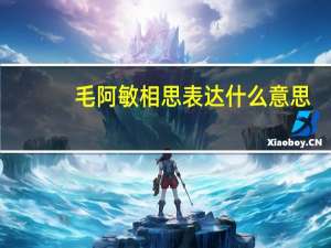 毛阿敏相思表达什么意思