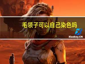 毛领子可以自己染色吗