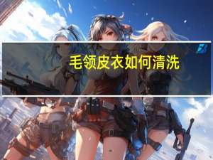 毛领皮衣如何清洗