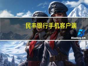 民丰银行手机客户端（民丰银行网上银行登录）