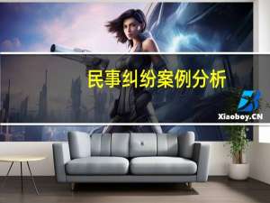 民事纠纷案例分析