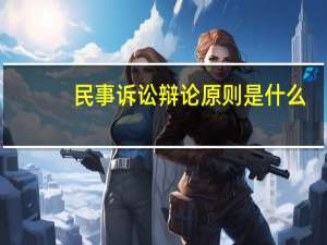 民事诉讼辩论原则是什么