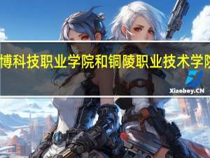民办万博科技职业学院和铜陵职业技术学院的专业对比