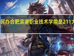 民办合肥滨湖职业技术学院是211大学吗