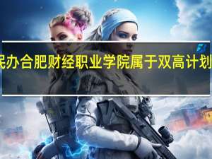 民办合肥财经职业学院属于双高计划院校吗