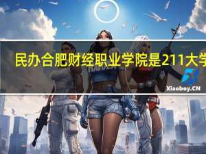 民办合肥财经职业学院是211大学吗