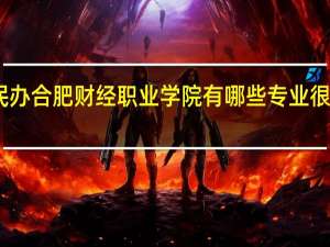 民办合肥财经职业学院有哪些专业很受欢迎