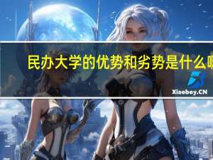 民办大学的优势和劣势是什么啊