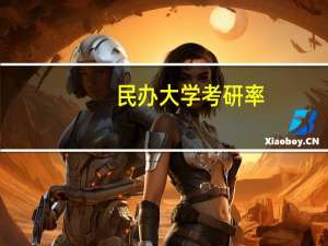 民办大学考研率