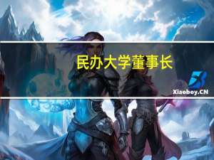 民办大学董事长