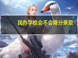 民办学校会不会降分录取