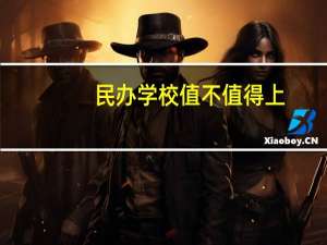 民办学校值不值得上