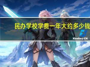 民办学校学费一年大约多少钱