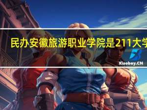 民办安徽旅游职业学院是211大学吗