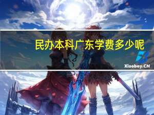 民办本科广东学费多少呢