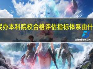 民办本科院校合格评估指标体系由什么构成