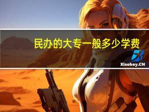 民办的大专一般多少学费