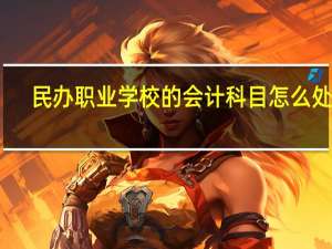 民办职业学校的会计科目怎么处理
