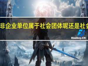 民办非企业单位属于社会团体呢还是社会服务机构