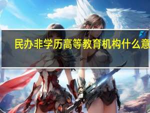 民办非学历高等教育机构什么意思