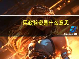 民政验资是什么意思