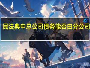 民法典中总公司债务能否由分公司承担